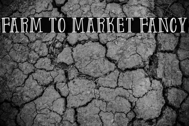 Farm to Market Fancy Font examples
