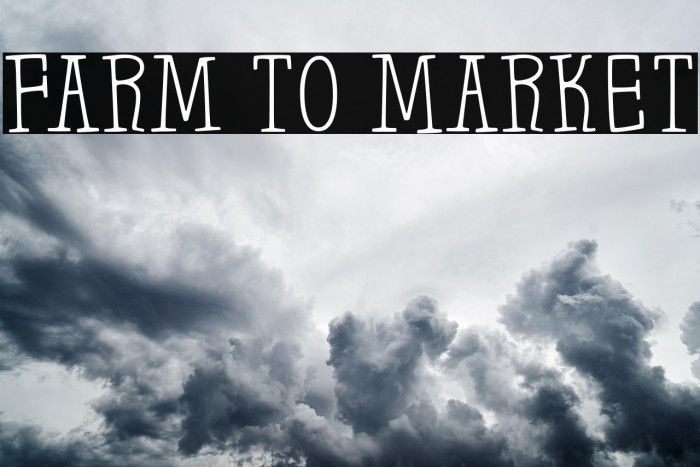 Farm to Market Example 1