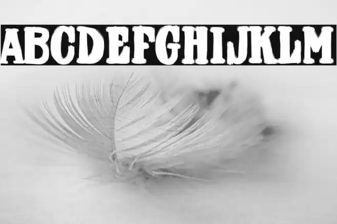 Farmacia de Guardia Font examples