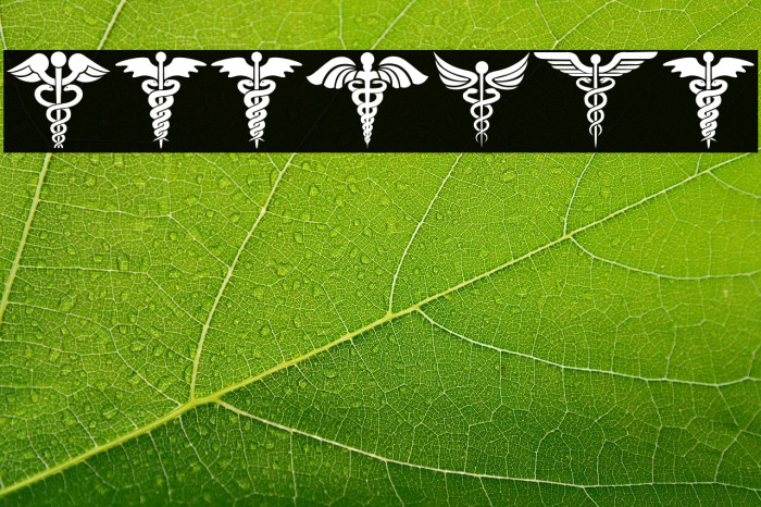 Farmacy Regular Example 2