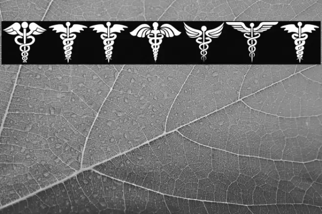 Farmacy Regular Font examples