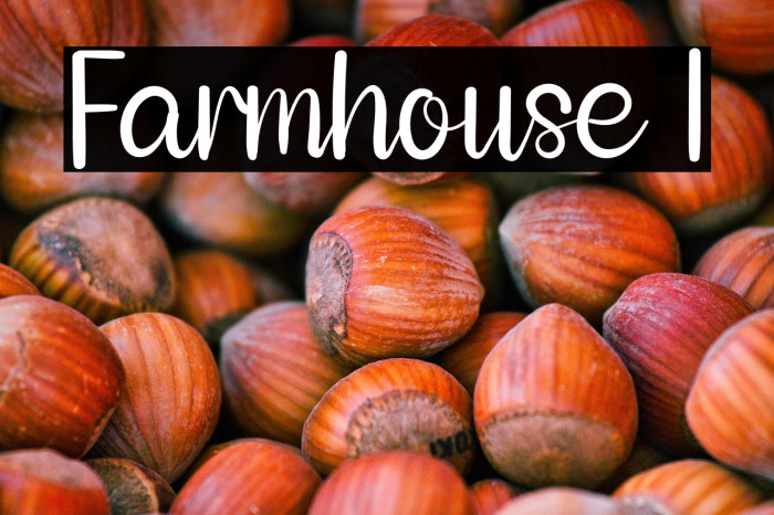 Farmhouse 1 Example 1