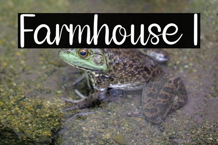 Farmhouse 1 Example 2