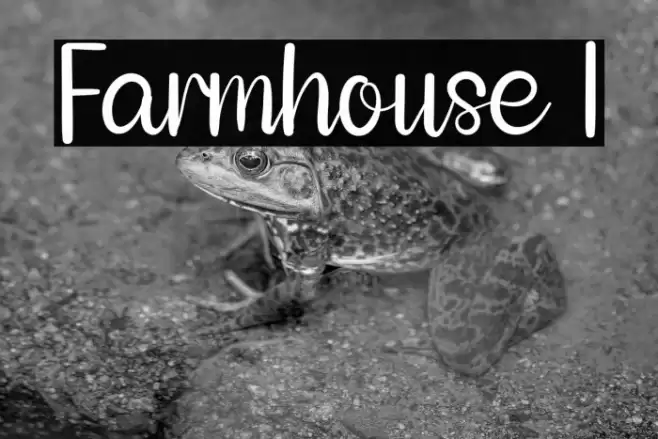 Farmhouse 1 Caratteri examples