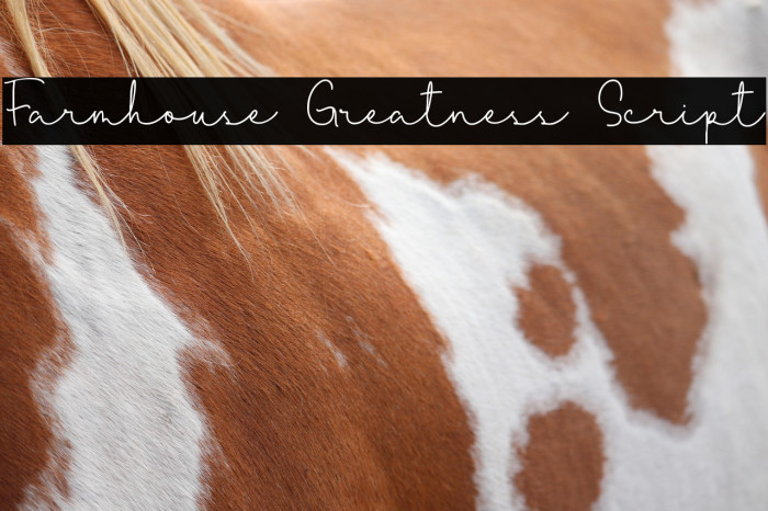 Farmhouse Greatness Script Example 2