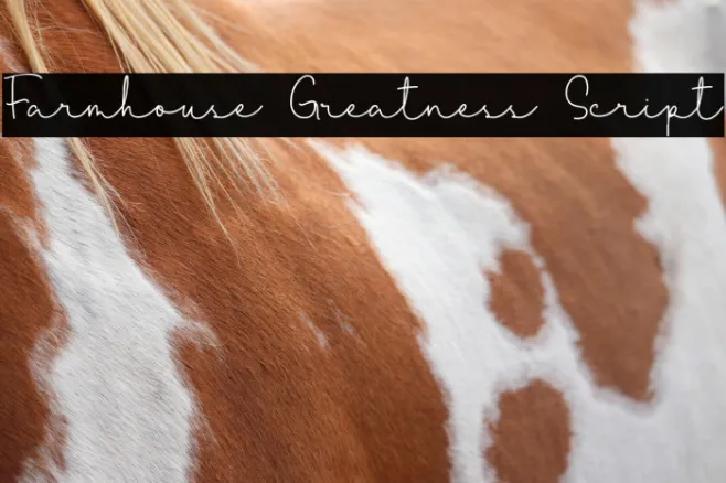 Farmhouse Greatness Script Example 2
