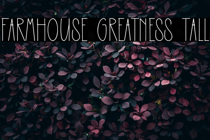 Farmhouse Greatness Tall Example 2