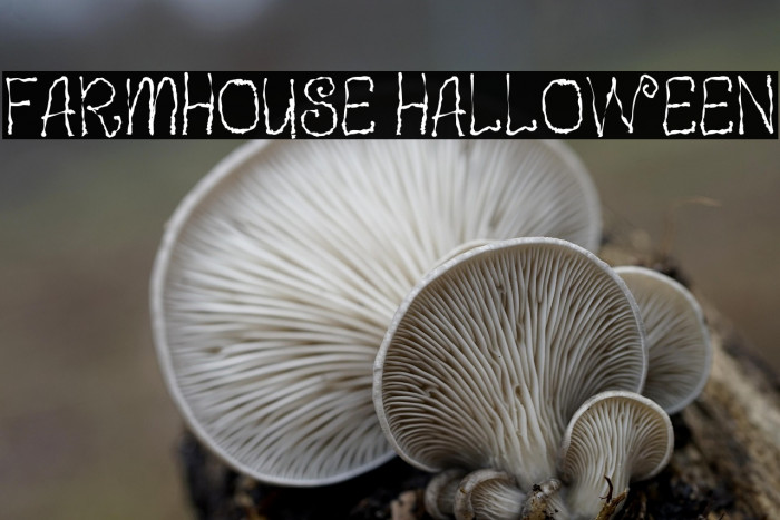 Farmhouse Halloween Example 1