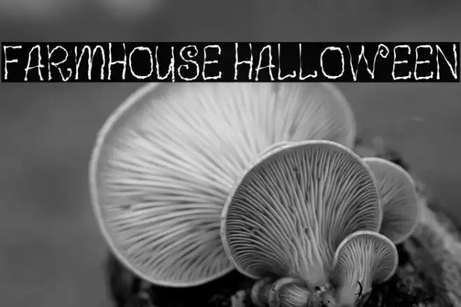 Farmhouse Halloween Font examples