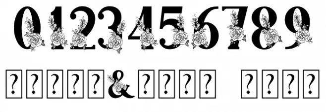 Farmhouse Monogram Font OTHER CHARS
