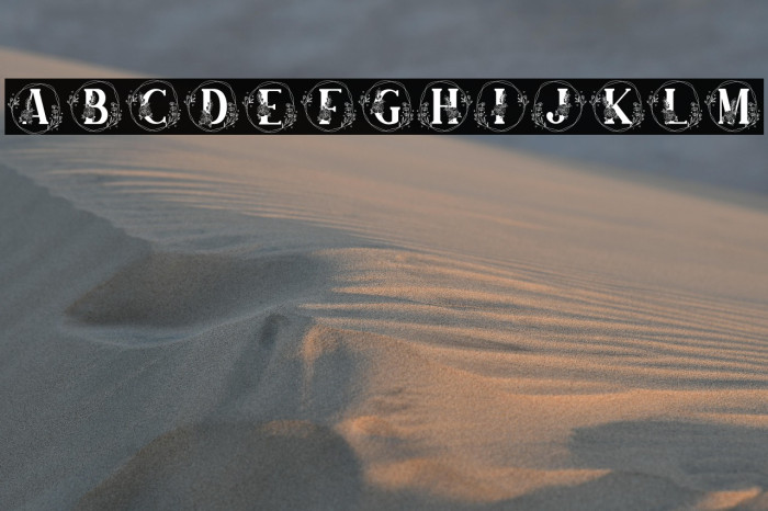 Farmhouse Monogram Example 3