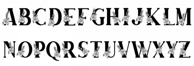 Farmhouse Monogram Font LOWERCASE
