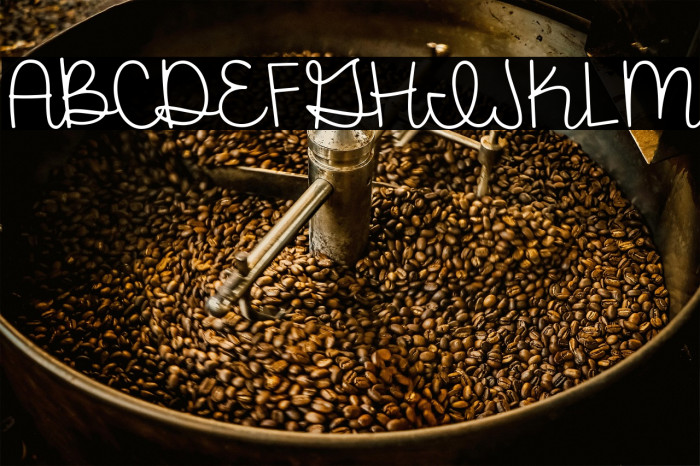 Farmhouse Rooster Demo Example 1