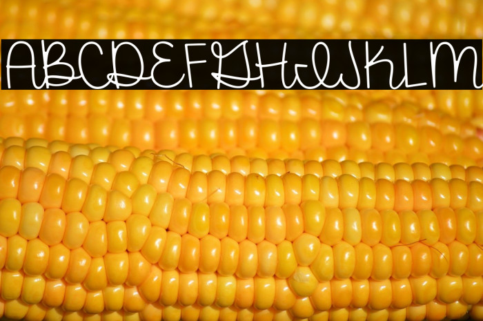 Farmhouse Rooster Demo Example 3