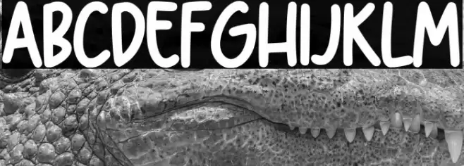 Farmhouse Village A خط examples