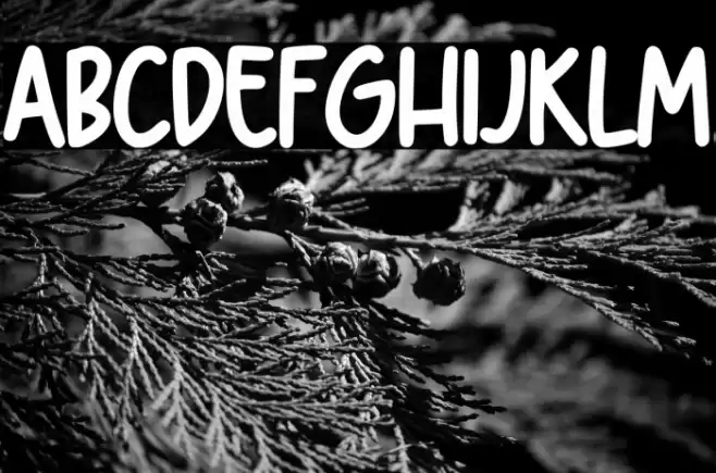 Farmhouse Village A خط examples