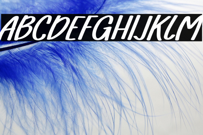 FarmhouseRegular Example 1