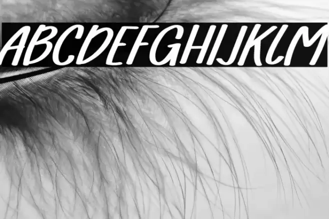 FarmhouseRegular Font examples