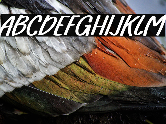 FarmhouseRegular Example 2