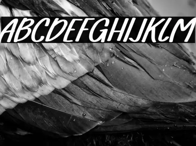 FarmhouseRegular Font examples