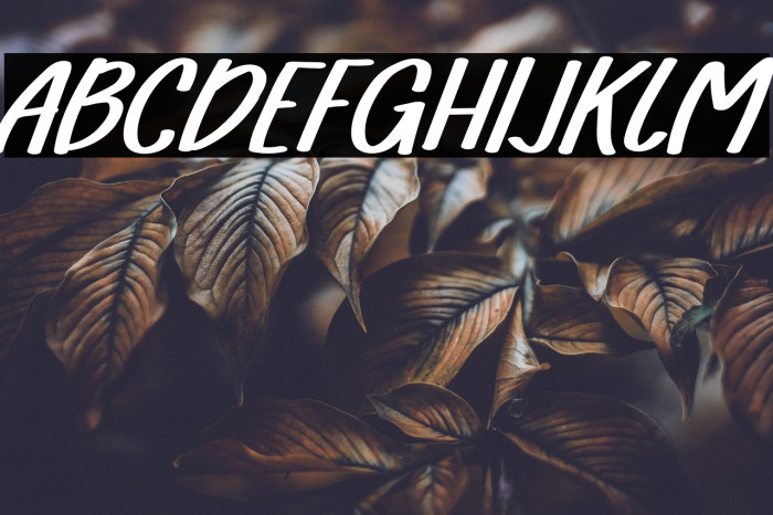 FarmhouseRegular Example 3