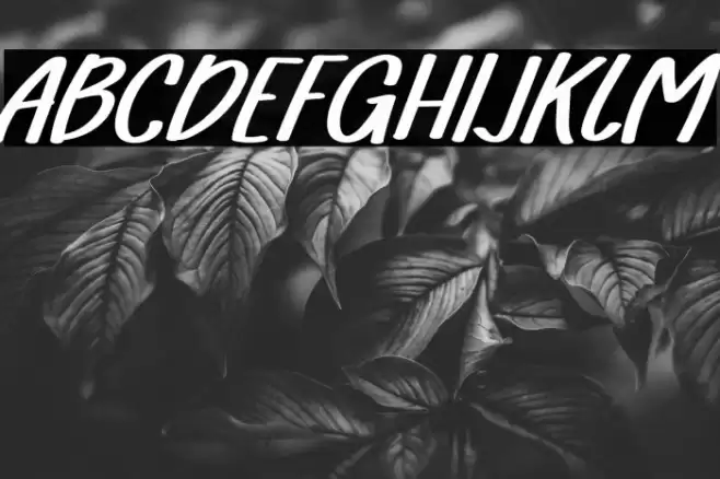 FarmhouseRegular Font examples