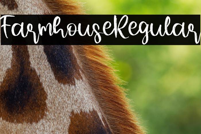 FarmhouseRegular Example 3