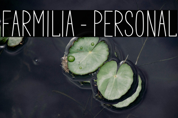 Farmilia - PERSONAl Example 3