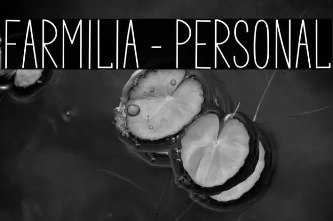 Farmilia - PERSONAl Fonte examples