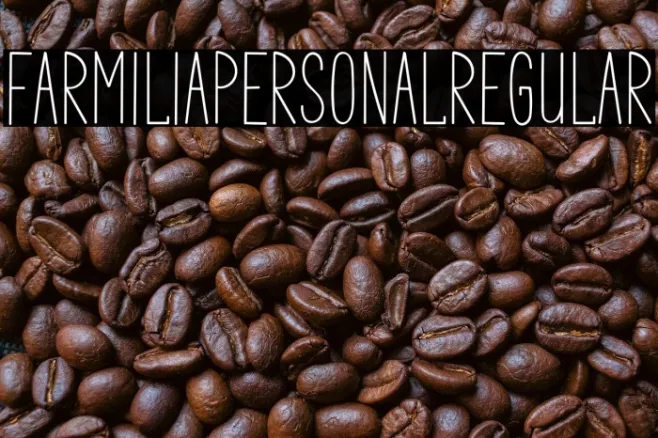 FarmiliaPERSONAlRegular Example 2