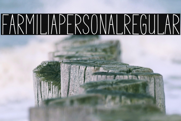 FarmiliaPERSONAlRegular Example 3