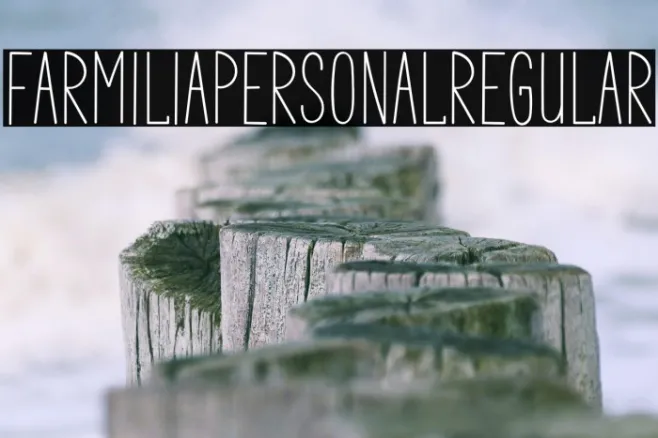 FarmiliaPERSONAlRegular Example 3