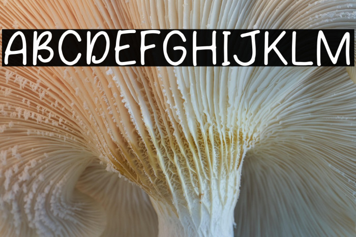 Farming Town Example 1