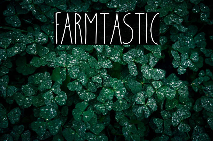 Farmtastic Example 2