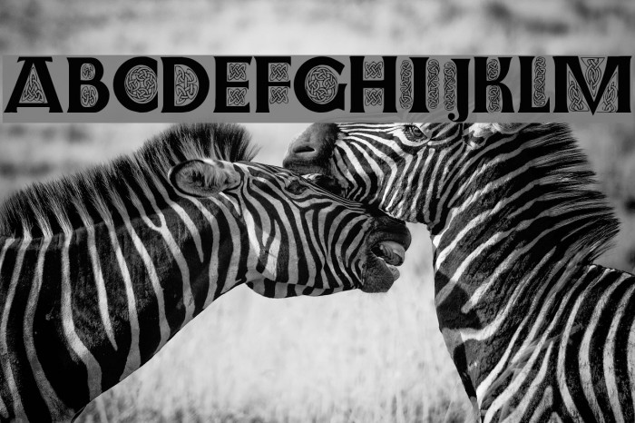 Farnoe Initials Example 1