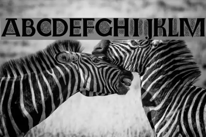 Farnoe Initials Font examples