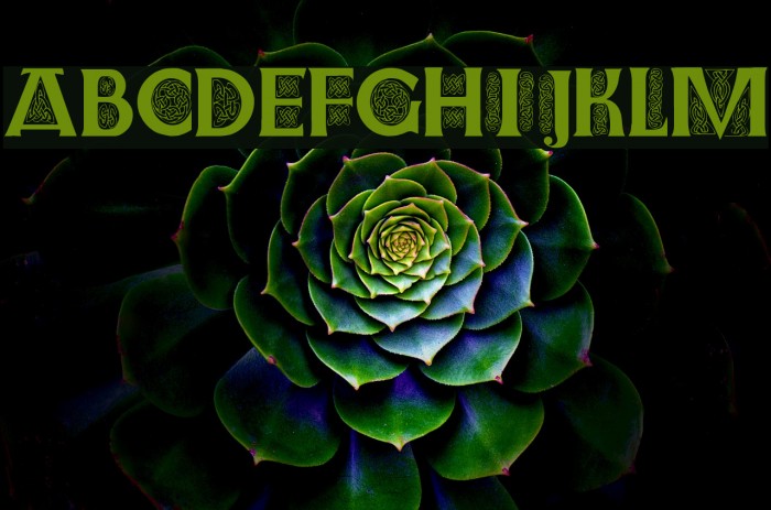 Farnoe Initials Example 2