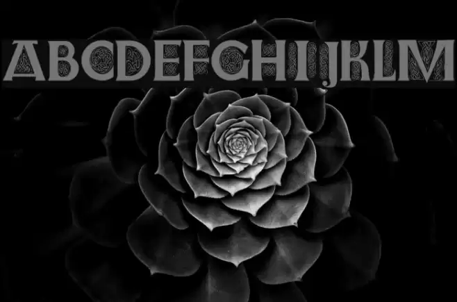 Farnoe Initials Font examples