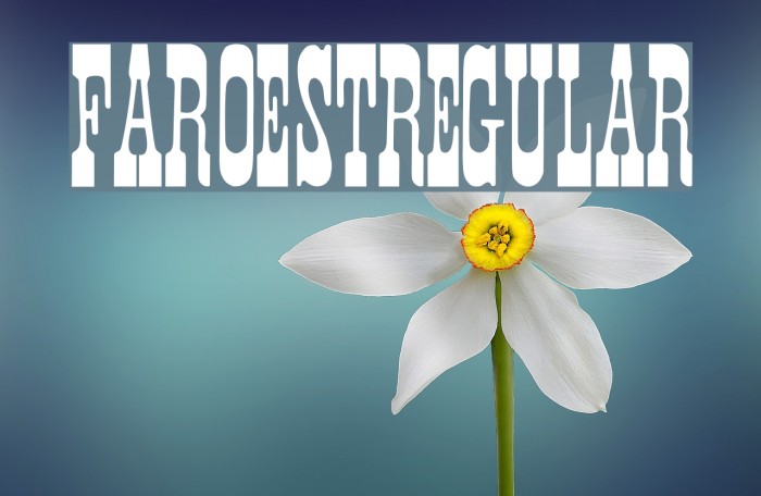 Faroest-Regular Font examples