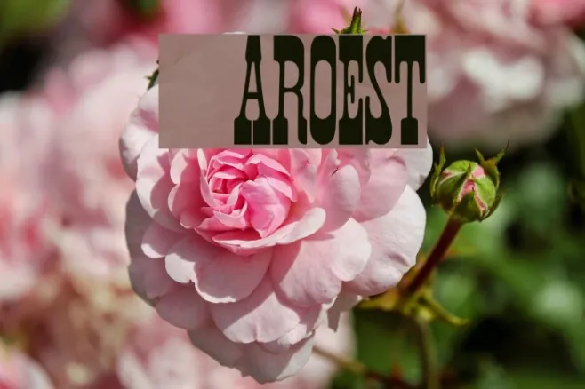 Faroest Example 2