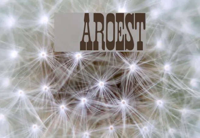 Faroest Example 3