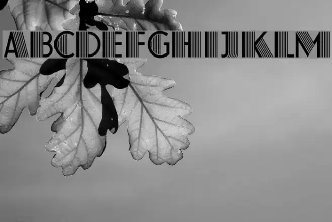 Farouk Font examples