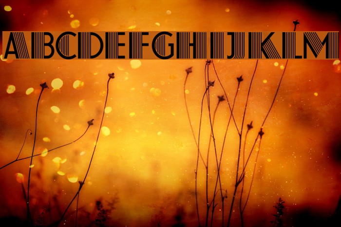 Farouk Font examples