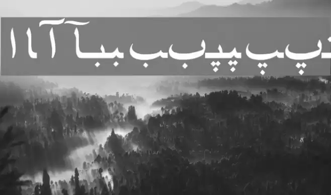 Farsi 1.1 Schriftart examples