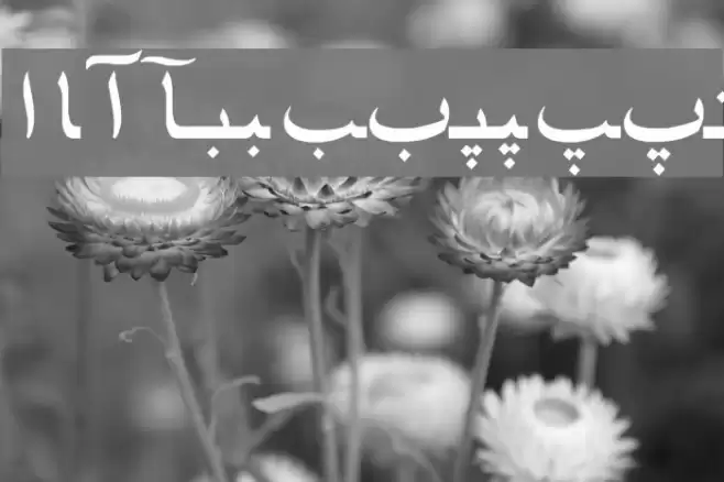 Farsi 1.1 Schriftart examples