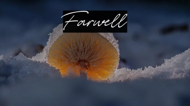 Farwell Example 1