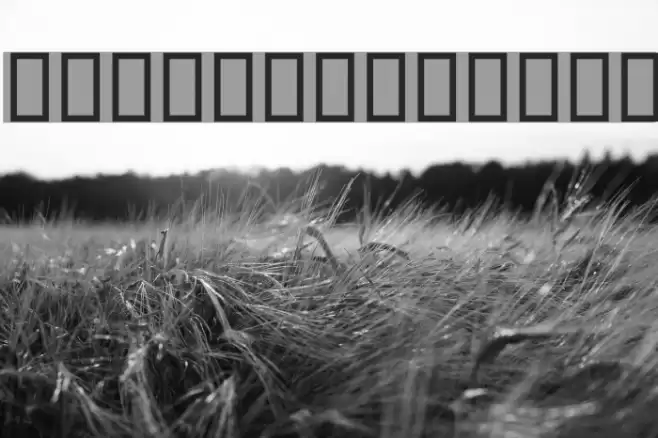 Farzaana Font examples