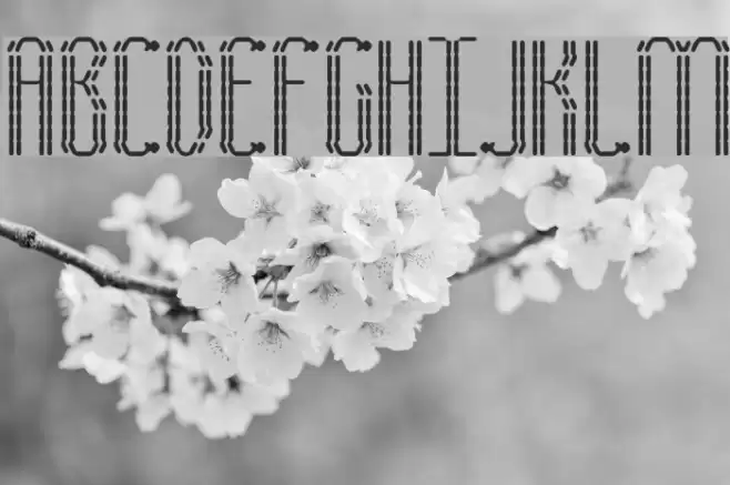 Fascii BRK Font examples