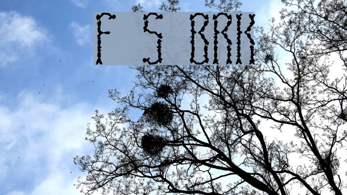 Fascii Scraggly BRK Font examples