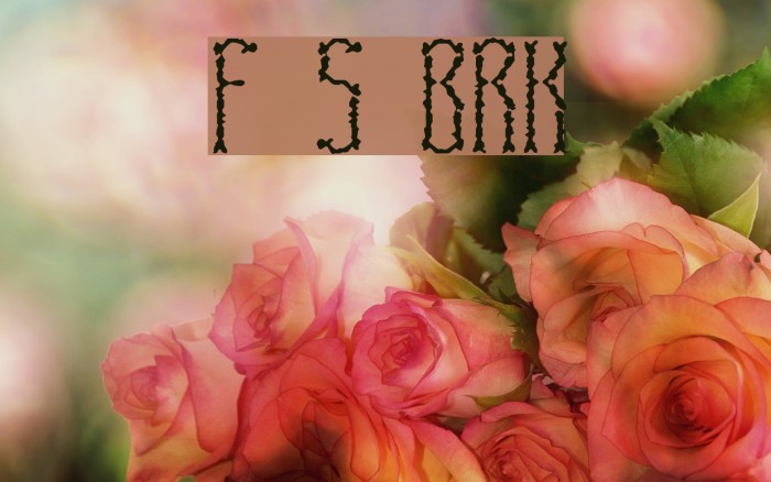 Fascii Scraggly BRK Font examples
